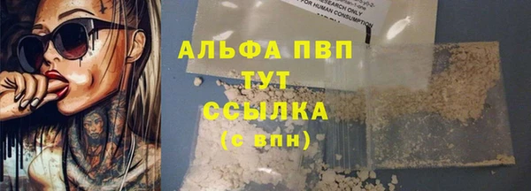 spice Мурманск