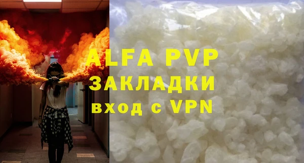 spice Мурманск