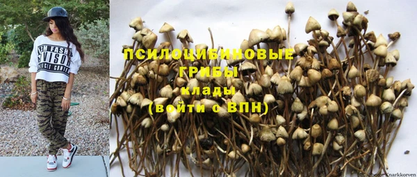 метадон Кострома