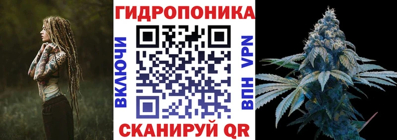 Купить закладки  Касли  МАРИХУАНА Amnesia 